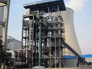 Biomass-Gasifier-case-3
